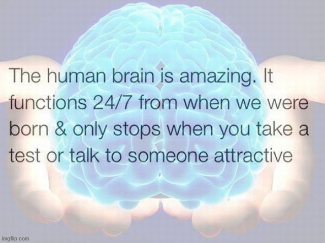 This is so true | image tagged in brain | made w/ Imgflip meme maker