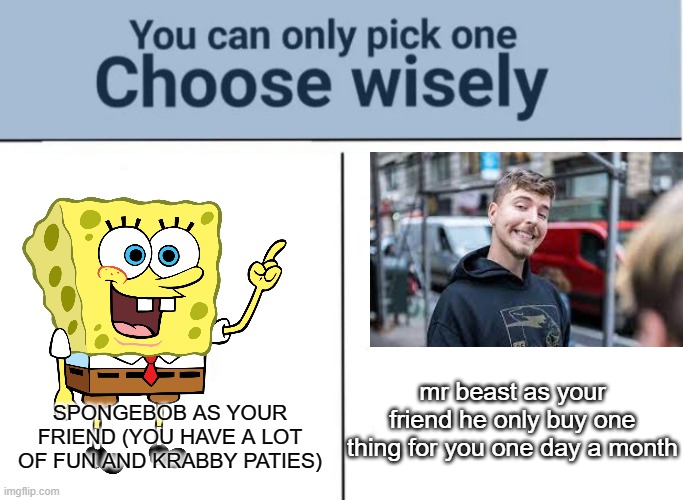 who is better | SPONGEBOB AS YOUR FRIEND (YOU HAVE A LOT OF FUN AND KRABBY PATIES); mr beast as your friend he only buy one thing for you one day a month | image tagged in choose wisely | made w/ Imgflip meme maker