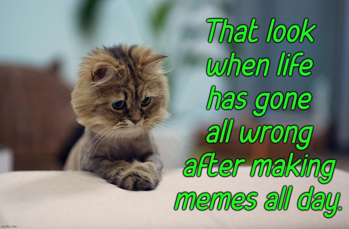 Making memes out of sadness - Imgflip