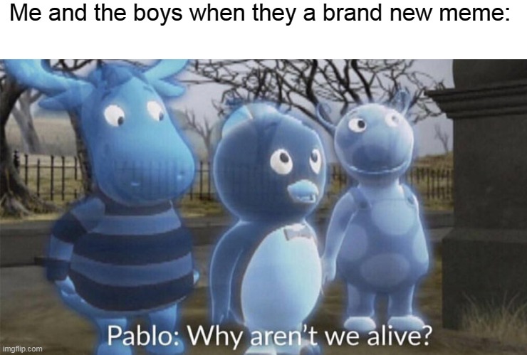 Me and the boys when they a new meme | Me and the boys when they a brand new meme: | image tagged in pablo why aren't we alive,memes,me and the boys,indonesia | made w/ Imgflip meme maker