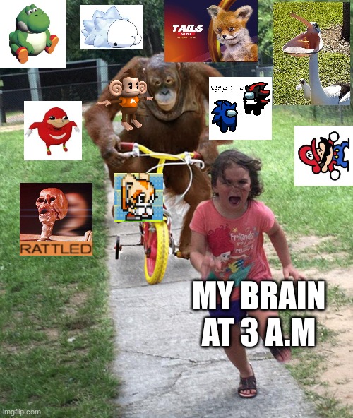 Orangutan chasing girl on a tricycle | MY BRAIN AT 3 A.M | image tagged in orangutan chasing girl on a tricycle | made w/ Imgflip meme maker