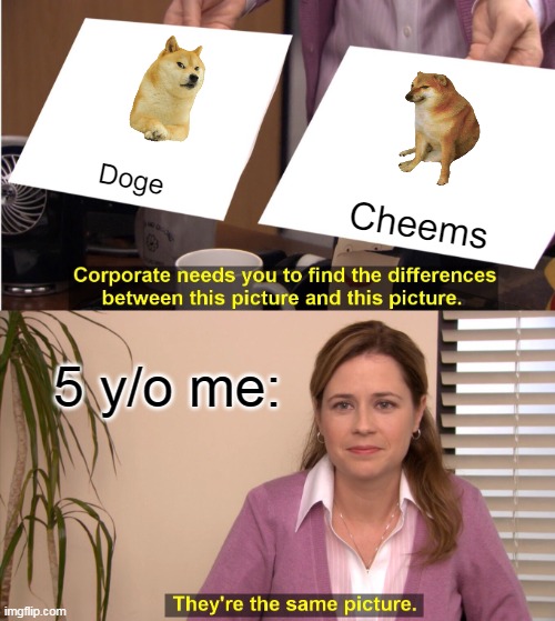 Doge or Cheems | Doge; Cheems; 5 y/o me: | image tagged in memes,they're the same picture | made w/ Imgflip meme maker