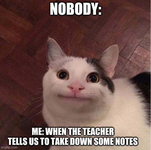 sad.... sad.... sad... | NOBODY:; ME: WHEN THE TEACHER TELLS US TO TAKE DOWN SOME NOTES | image tagged in sad,notes,but why why would you do that,cats | made w/ Imgflip meme maker