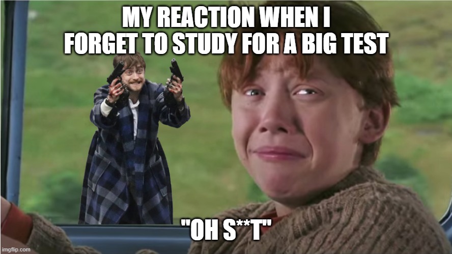 REMEMBER TO STUDY | MY REACTION WHEN I FORGET TO STUDY FOR A BIG TEST; "OH S**T" | image tagged in harry potter guns ron weasly | made w/ Imgflip meme maker