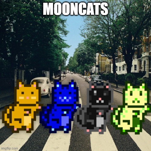 mooncats | MOONCATS | image tagged in mooncats,nft | made w/ Imgflip meme maker