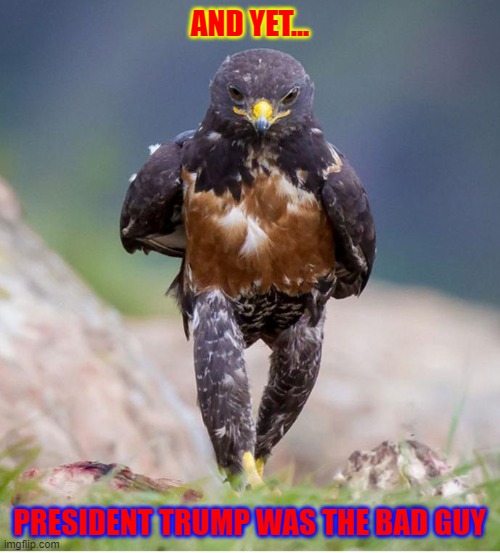 Wondering Wandering Falcon | AND YET... PRESIDENT TRUMP WAS THE BAD GUY | image tagged in wandering falcon | made w/ Imgflip meme maker