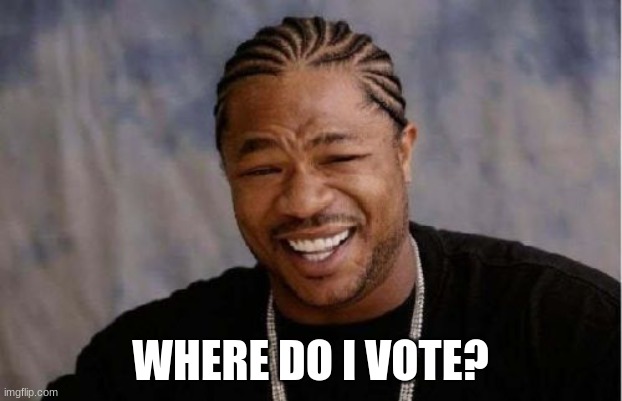 Yo Dawg Heard You | WHERE DO I VOTE? | image tagged in memes,yo dawg heard you | made w/ Imgflip meme maker