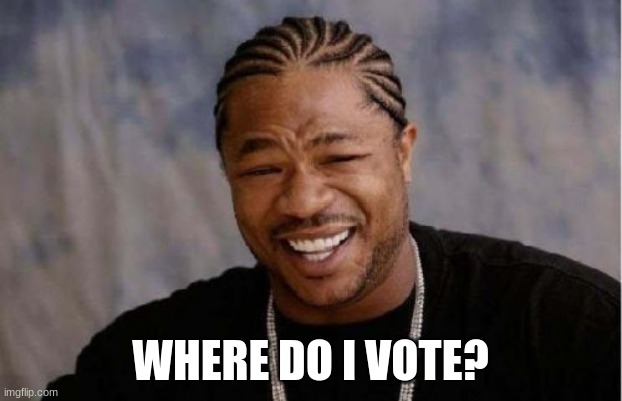 Yo Dawg Heard You Meme | WHERE DO I VOTE? | image tagged in memes,yo dawg heard you | made w/ Imgflip meme maker