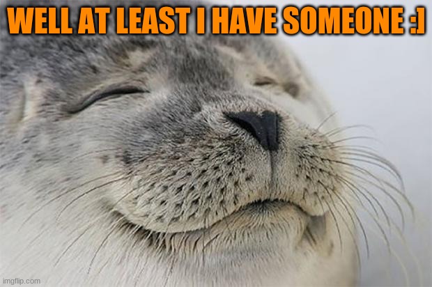 Satisfied Seal Meme | WELL AT LEAST I HAVE SOMEONE :] | image tagged in memes,satisfied seal | made w/ Imgflip meme maker