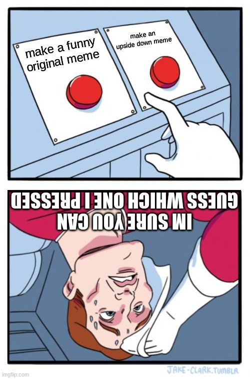 and I guess Im online :| | make an upside down meme; make a funny original meme; IM SURE YOU CAN GUESS WHICH ONE I PRESSED | image tagged in memes,two buttons | made w/ Imgflip meme maker