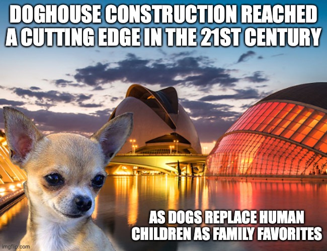 Chihuahua in the 21st Century | DOGHOUSE CONSTRUCTION REACHED A CUTTING EDGE IN THE 21ST CENTURY; AS DOGS REPLACE HUMAN CHILDREN AS FAMILY FAVORITES | image tagged in 2000s,memes,dog,chihuahua | made w/ Imgflip meme maker