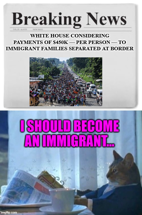 $450,000 could go a long ways. Not as far as it did a year ago, but still, pretty far. | WHITE HOUSE CONSIDERING PAYMENTS OF $450K — PER PERSON — TO IMMIGRANT FAMILIES SEPARATED AT BORDER; I SHOULD BECOME AN IMMIGRANT... | image tagged in breaking news,memes,i should buy a boat cat | made w/ Imgflip meme maker