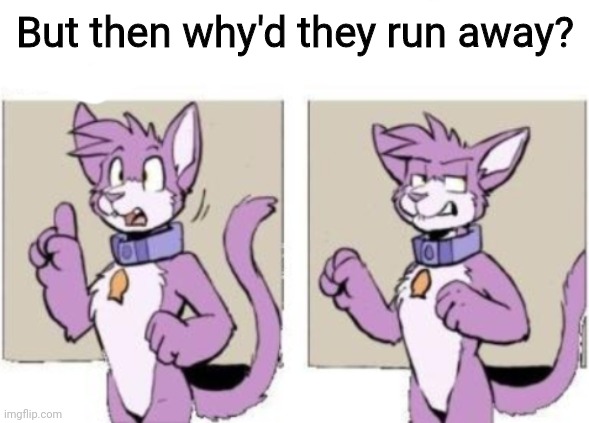 Furry hold on | But then why'd they run away? | image tagged in furry hold on | made w/ Imgflip meme maker