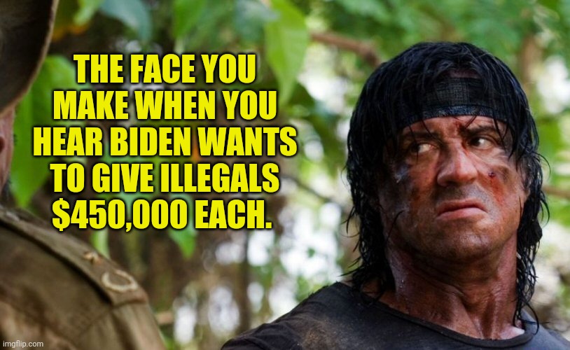 It's got me hot. | THE FACE YOU MAKE WHEN YOU HEAR BIDEN WANTS TO GIVE ILLEGALS $450,000 EACH. | image tagged in memes | made w/ Imgflip meme maker