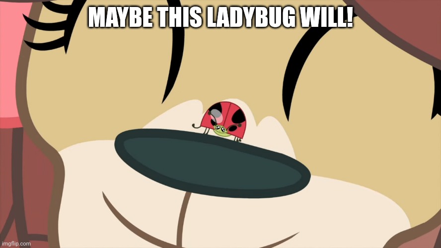 MAYBE THIS LADYBUG WILL! | image tagged in yona,my little pony friendship is magic,ladybug,cute | made w/ Imgflip meme maker