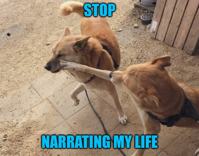 Stop it | STOP NARRATING MY LIFE | image tagged in stop it | made w/ Imgflip meme maker