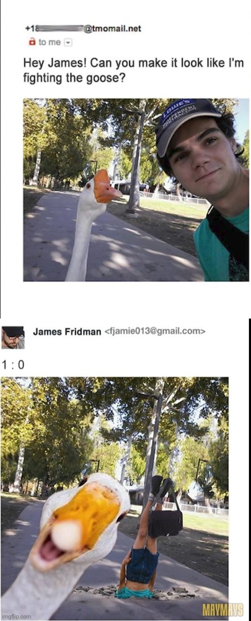 Photoshop | image tagged in photoshop,james fridman,goose,knockout | made w/ Imgflip meme maker