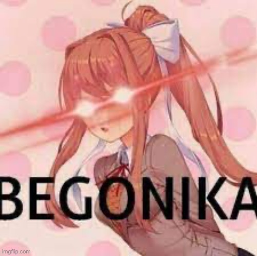Begonika | image tagged in begonika | made w/ Imgflip meme maker