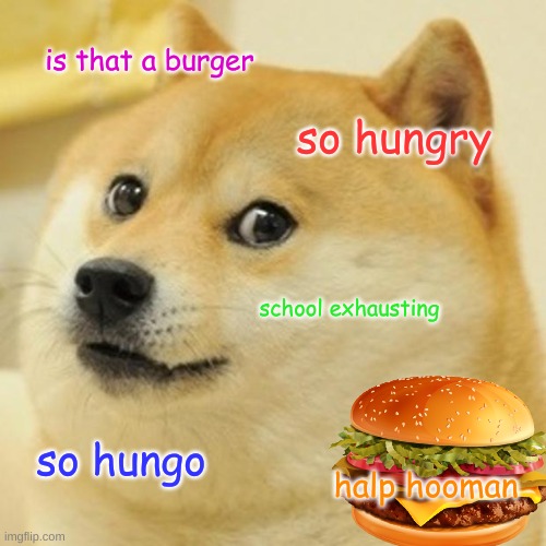 Doge on ur fyp |  is that a burger; so hungry; school exhausting; so hungo; halp hooman | image tagged in memes,doge,burger,hamburger,funny,sad doge | made w/ Imgflip meme maker