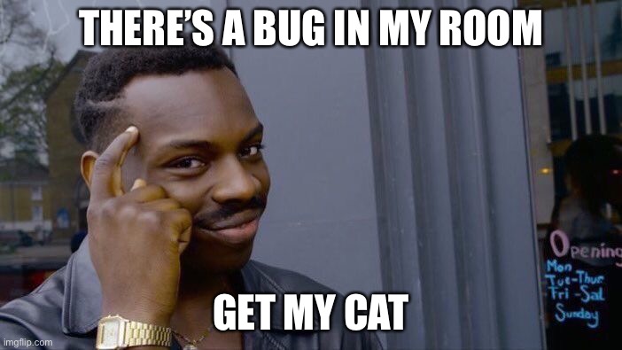 I did this a lot | THERE’S A BUG IN MY ROOM; GET MY CAT | image tagged in memes,roll safe think about it | made w/ Imgflip meme maker