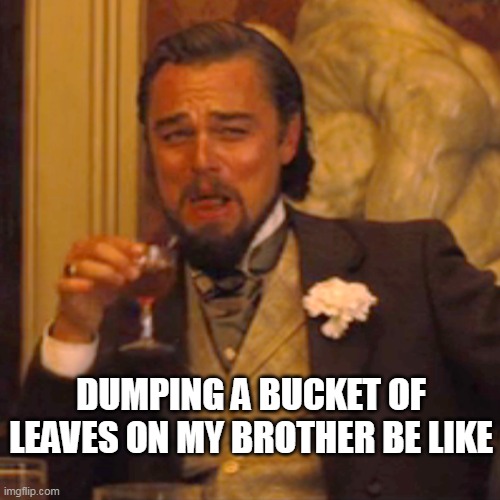 lol | DUMPING A BUCKET OF LEAVES ON MY BROTHER BE LIKE | image tagged in memes,laughing leo,hahaha | made w/ Imgflip meme maker