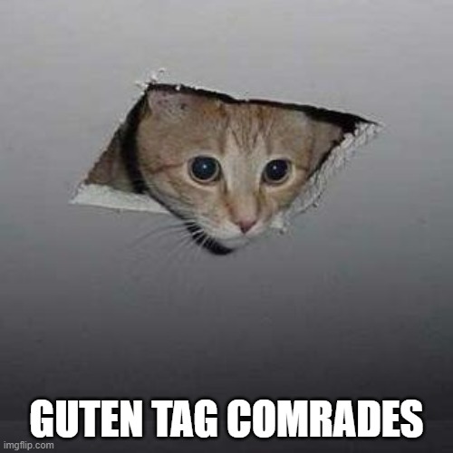 A Russian-German person | GUTEN TAG COMRADES | image tagged in memes,ceiling cat | made w/ Imgflip meme maker