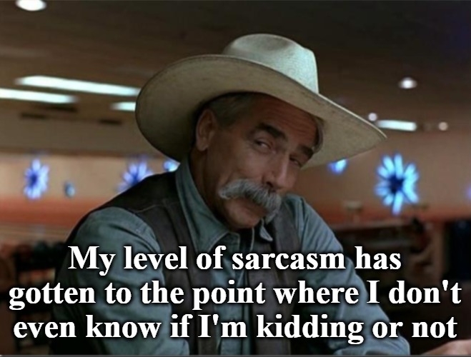 Sarcasm | My level of sarcasm has gotten to the point where I don't even know if I'm kidding or not | image tagged in sarcasm cowboy redo | made w/ Imgflip meme maker
