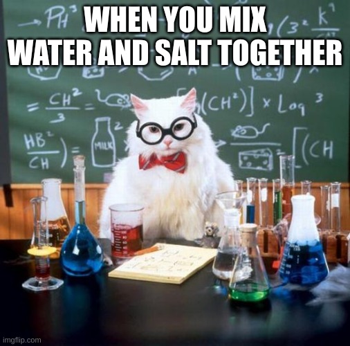 Chemistry Cat Meme | WHEN YOU MIX WATER AND SALT TOGETHER | image tagged in memes,chemistry cat | made w/ Imgflip meme maker