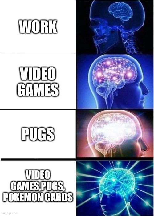 Expanding Brain | WORK; VIDEO GAMES; PUGS; VIDEO GAMES,PUGS, POKEMON CARDS | image tagged in memes,expanding brain | made w/ Imgflip meme maker