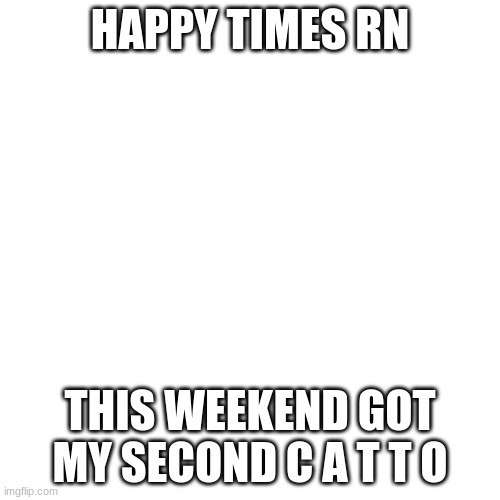 BLANK | HAPPY TIMES RN; THIS WEEKEND GOT MY SECOND C A T T O | image tagged in blank | made w/ Imgflip meme maker