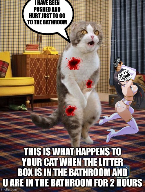 Gotta Go Cat | I HAVE BEEN PUSHED AND HURT JUST TO GO TO THE BATHROOM; THIS IS WHAT HAPPENS TO YOUR CAT WHEN THE LITTER BOX IS IN THE BATHROOM AND U ARE IN THE BATHROOM FOR 2 HOURS | image tagged in memes,gotta go cat | made w/ Imgflip meme maker