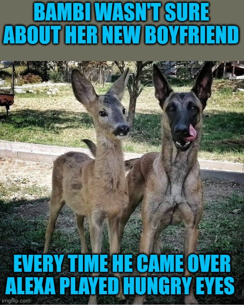 Dangers of Online Dating | BAMBI WASN'T SURE ABOUT HER NEW BOYFRIEND; EVERY TIME HE CAME OVER ALEXA PLAYED HUNGRY EYES | image tagged in memes,dirty dancing | made w/ Imgflip meme maker
