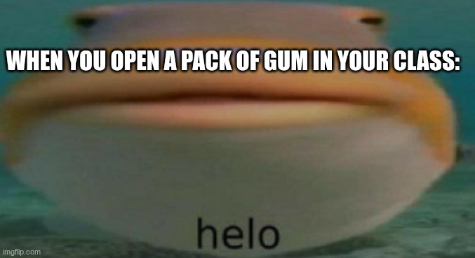 Helo | WHEN YOU OPEN A PACK OF GUM IN YOUR CLASS: | image tagged in helo | made w/ Imgflip meme maker