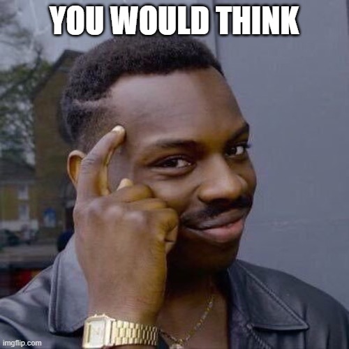 Thinking Black Guy | YOU WOULD THINK | image tagged in thinking black guy | made w/ Imgflip meme maker