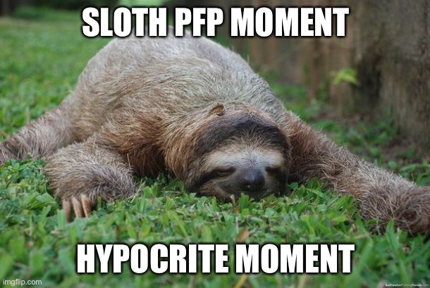 Sleeping sloth | SLOTH PFP MOMENT HYPOCRITE MOMENT | image tagged in sleeping sloth | made w/ Imgflip meme maker