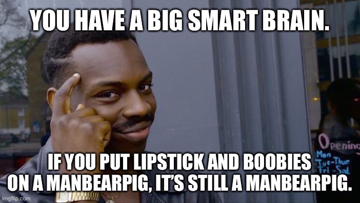 Roll Safe Think About It Meme | YOU HAVE A BIG SMART BRAIN. IF YOU PUT LIPSTICK AND BOOBIES ON A MANBEARPIG, IT’S STILL A MANBEARPIG. | image tagged in memes,roll safe think about it | made w/ Imgflip meme maker