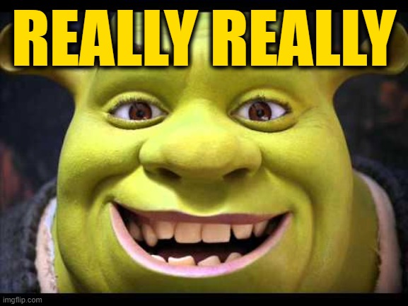 REALLY REALLY | made w/ Imgflip meme maker