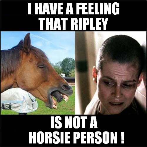 An Alien Horse Head ! | I HAVE A FEELING
THAT RIPLEY; IS NOT A
  HORSIE PERSON ! | image tagged in alien,jaws,ripley,horse | made w/ Imgflip meme maker