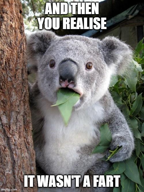 Surprised Koala |  AND THEN YOU REALISE; IT WASN'T A FART | image tagged in memes,surprised koala | made w/ Imgflip meme maker