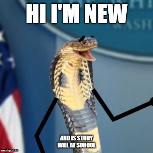 hello |  HI I'M NEW; AND IS STUDY HALL AT SCHOOL | image tagged in press snekretary | made w/ Imgflip meme maker