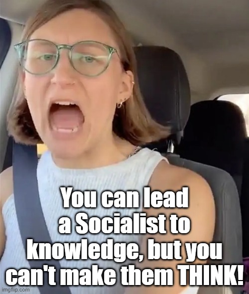 Unhinged Liberal Lunatic Idiot Woman Meltdown Screaming in Car | You can lead a Socialist to knowledge, but you can't make them THINK! | image tagged in unhinged liberal lunatic idiot woman meltdown screaming in car | made w/ Imgflip meme maker