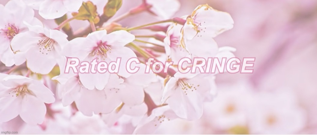 C for cringe | image tagged in c for cringe | made w/ Imgflip meme maker