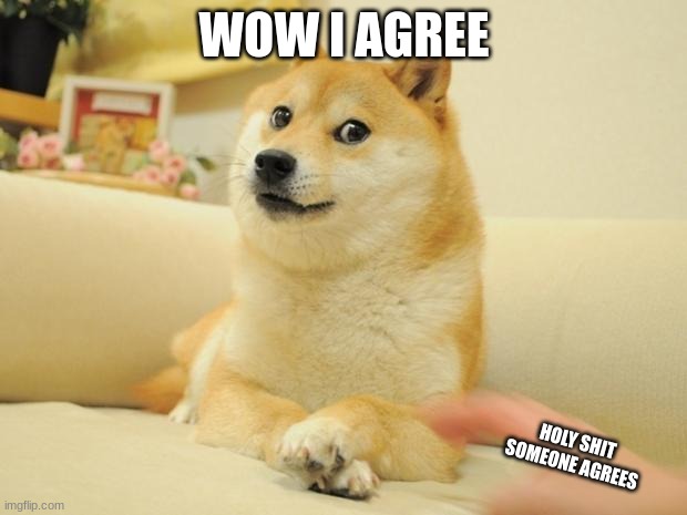 WOW I AGREE HOLY SHIT SOMEONE AGREES | image tagged in memes,doge 2 | made w/ Imgflip meme maker