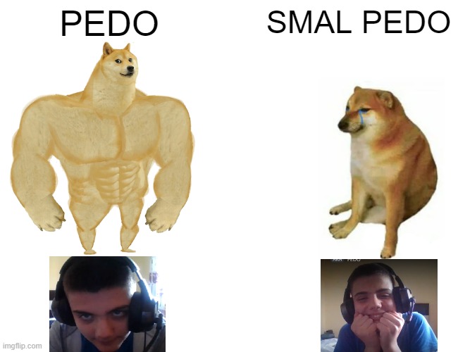 Buff Doge vs. Cheems | PEDO; SMAL PEDO | image tagged in memes,buff doge vs cheems | made w/ Imgflip meme maker