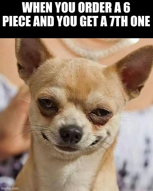 Smirking Dog | WHEN YOU ORDER A 6 PIECE AND YOU GET A 7TH ONE | image tagged in smirking dog | made w/ Imgflip meme maker