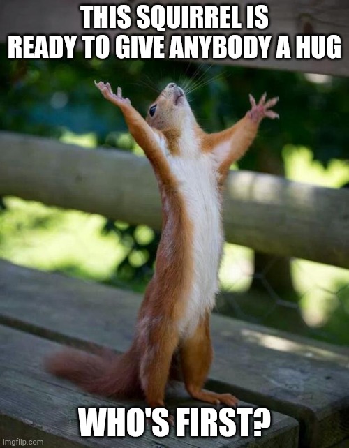 Happy Squirrel | THIS SQUIRREL IS READY TO GIVE ANYBODY A HUG; WHO'S FIRST? | image tagged in happy squirrel | made w/ Imgflip meme maker