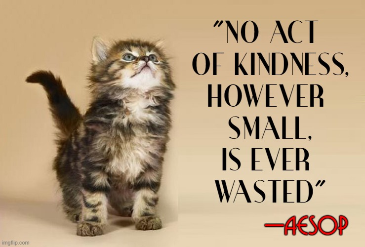 If it's not food or play, kittens crave love | "NO ACT 
OF KINDNESS,
HOWEVER 
SMALL,
IS EVER 
WASTED" —AESOP | image tagged in vince vance,cats,memes,kindness,wasted,aesop | made w/ Imgflip meme maker