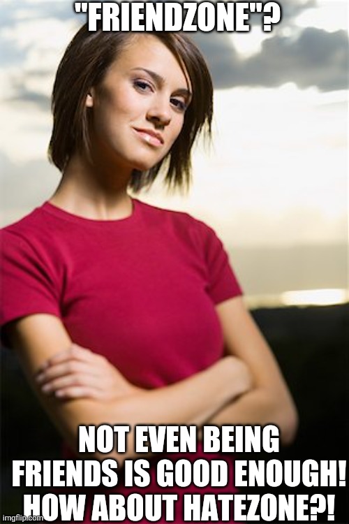 Smug Woman | "FRIENDZONE"? NOT EVEN BEING FRIENDS IS GOOD ENOUGH! HOW ABOUT HATEZONE?! | image tagged in smug woman | made w/ Imgflip meme maker