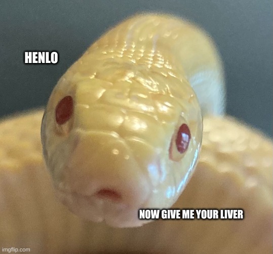 HENLO; NOW GIVE ME YOUR LIVER | made w/ Imgflip meme maker