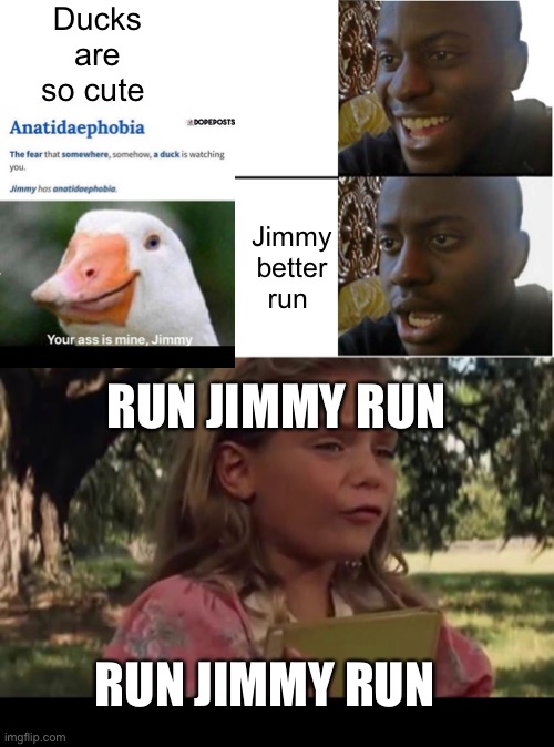 Run Jimmy | Ducks are so cute; Jimmy better run; RUN JIMMY RUN; RUN JIMMY RUN | image tagged in disappointed black guy | made w/ Imgflip meme maker